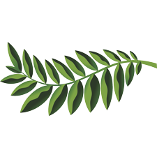Native Woodlands, PrintReleaf, Executive Office Solutions
